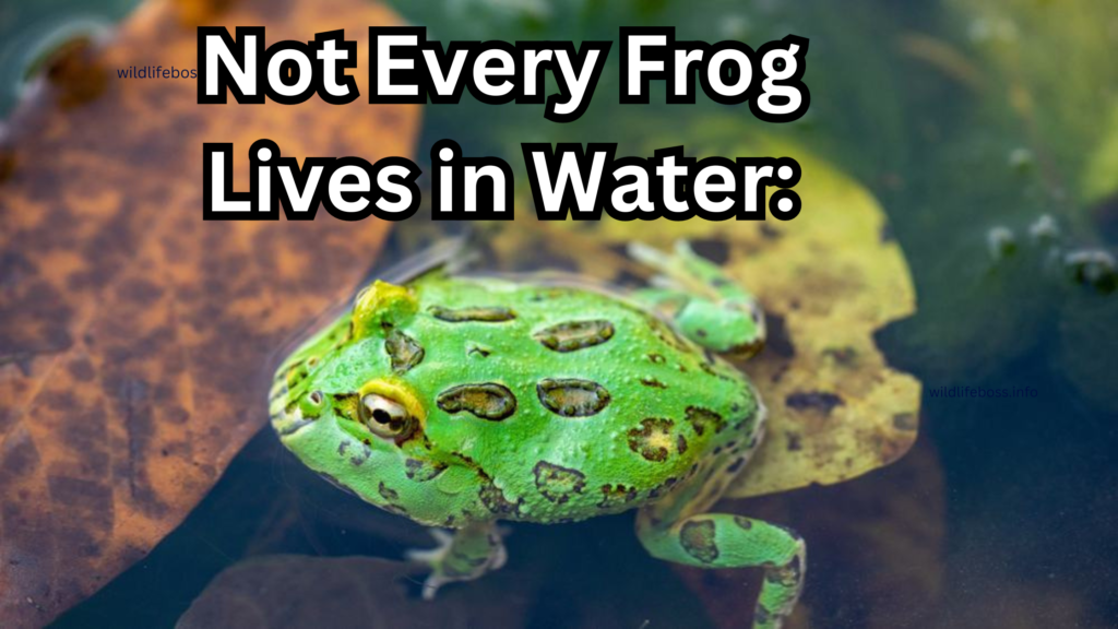 Not Every Frog Lives in Water: