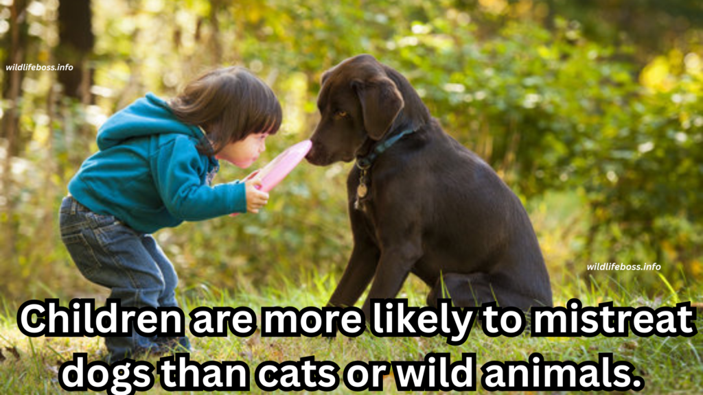 Children are more likely to mistreat dogs than cats or wild animals.